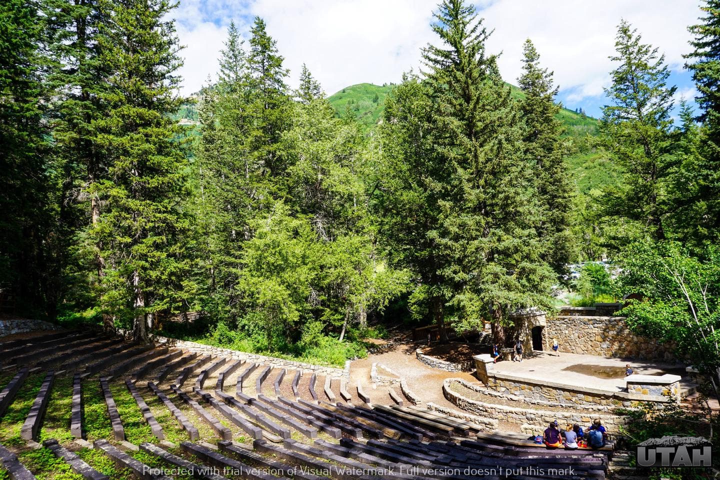Theater in the Pines