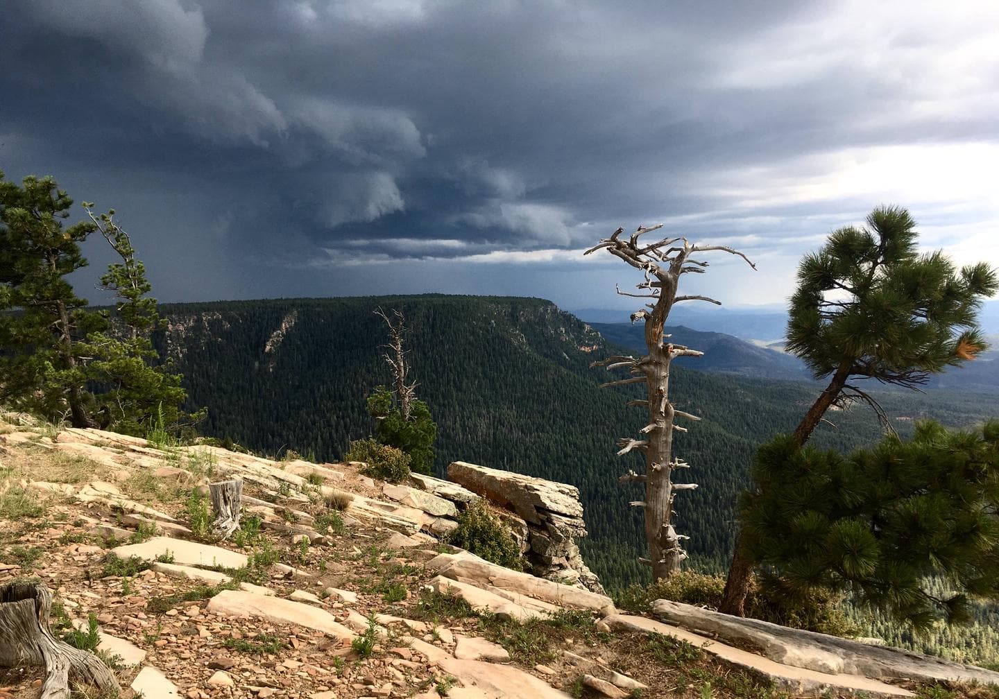 Monsoon on the Mogollon Rim