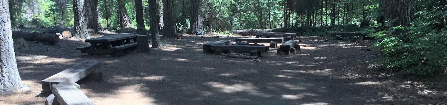 Lush forest provide shade for Middle Meadows Group Campground
