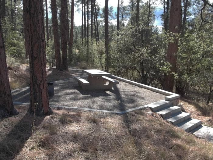 Site 14 picnic area perched on the hill with four concrete stairs to reach it