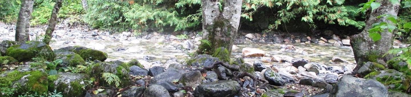 Denny Creek Campground