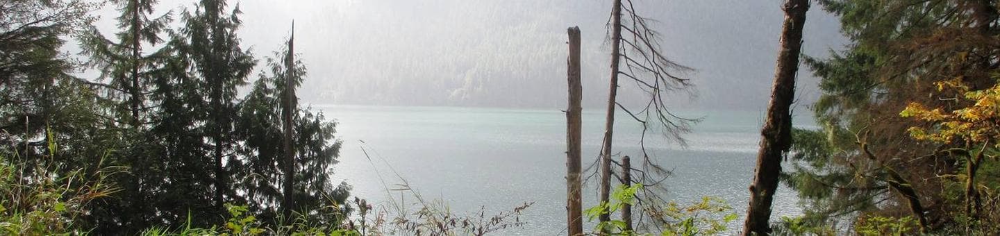 Shannon Creek Campground