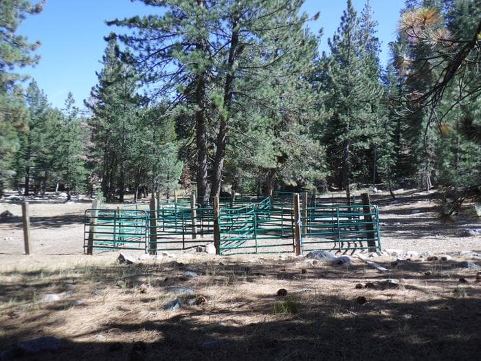 Packsaddle Campground Corral