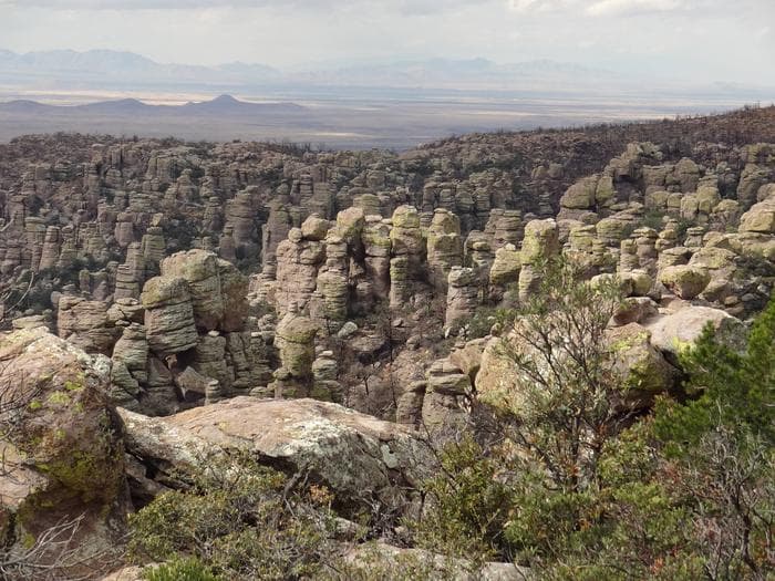 A forest of balance rocks and pinnacles as seen from Massai Point, the end of the scenic drive.
