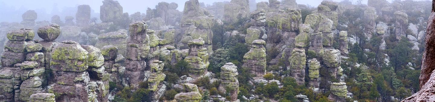 Bonita Canyon Campground campground at Chiricahua National Monument, Arizona