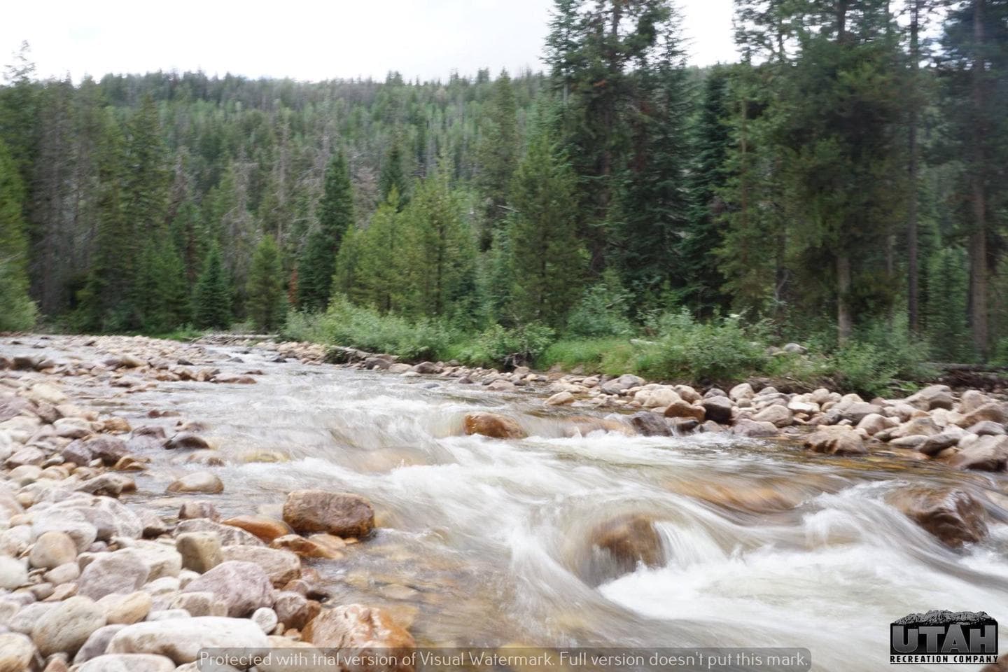 Cobblerest Campground - river