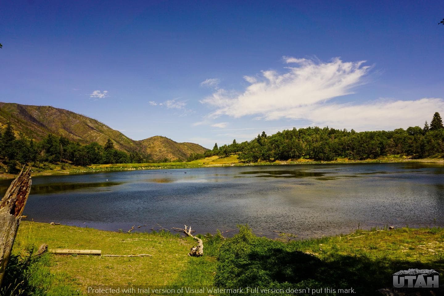 Maple Lake Campground