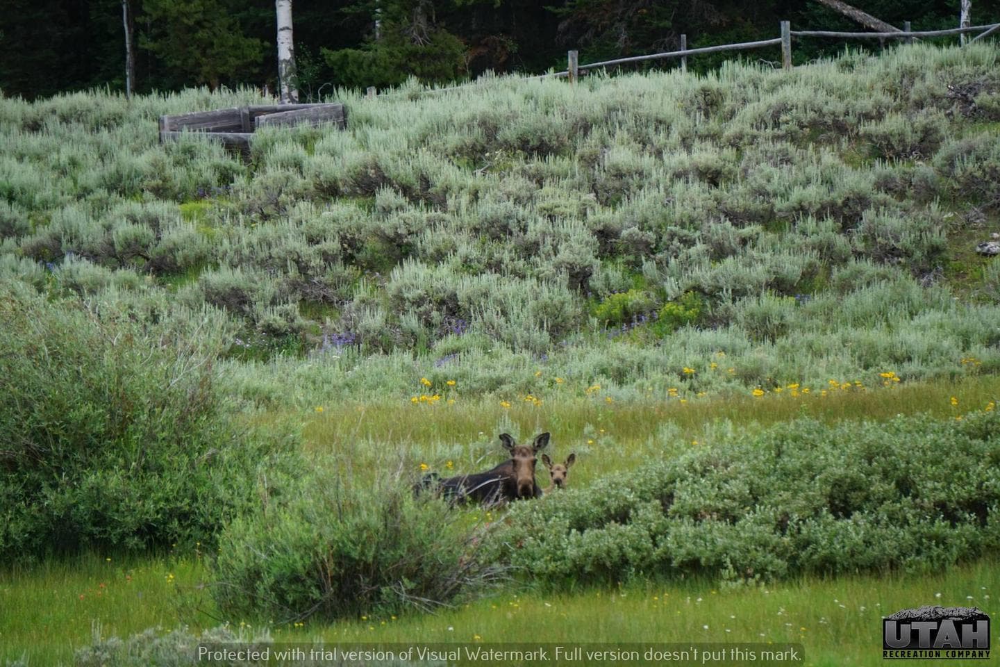 Meeks Cabin Campground