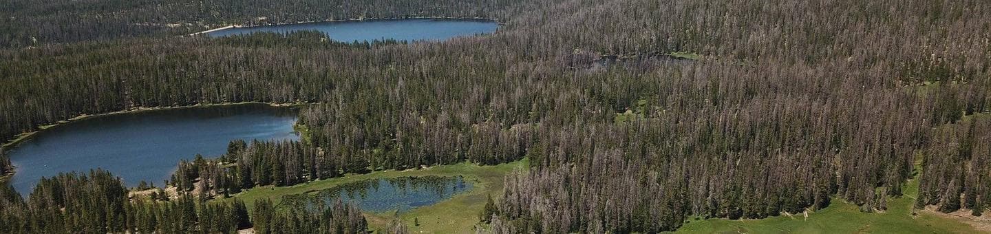 Lilly Lake Campground