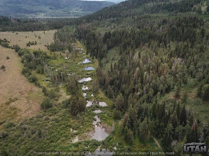 Shingle Creek aerial