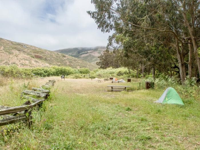 A large grassy field with multiple campsites that are roughly 11 feet apart.