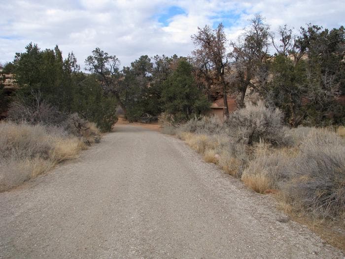 Drive way leading into the group site.