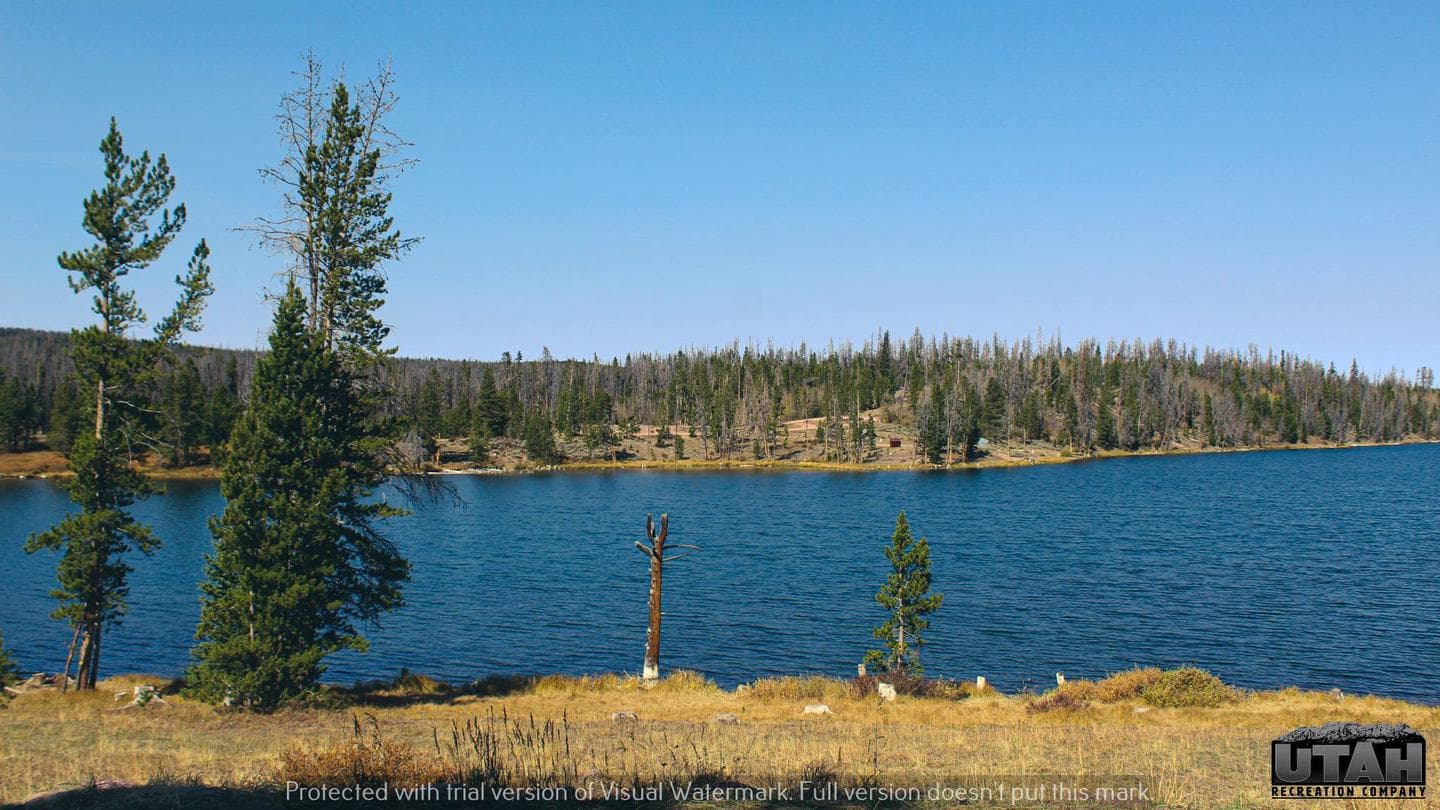 Marsh Lake Campground