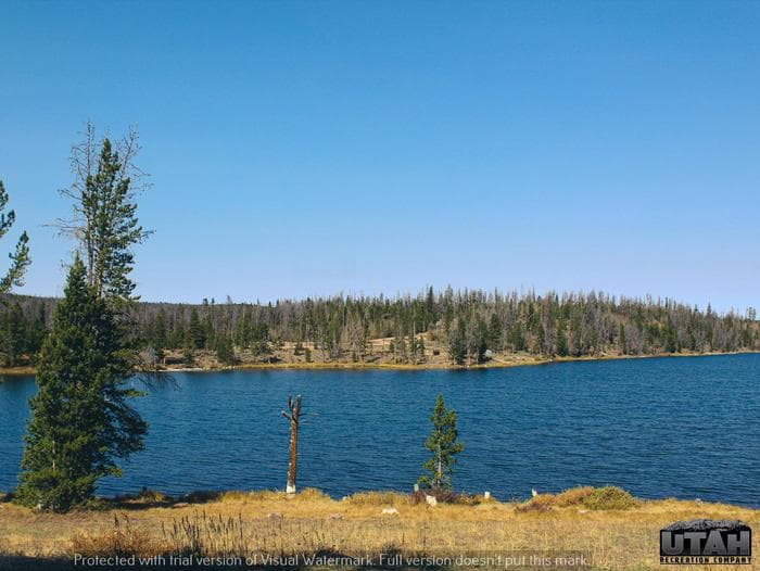 Marsh Lake Campground