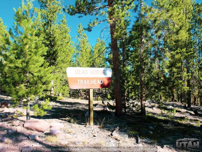 Deadhorse Trailhead Campground