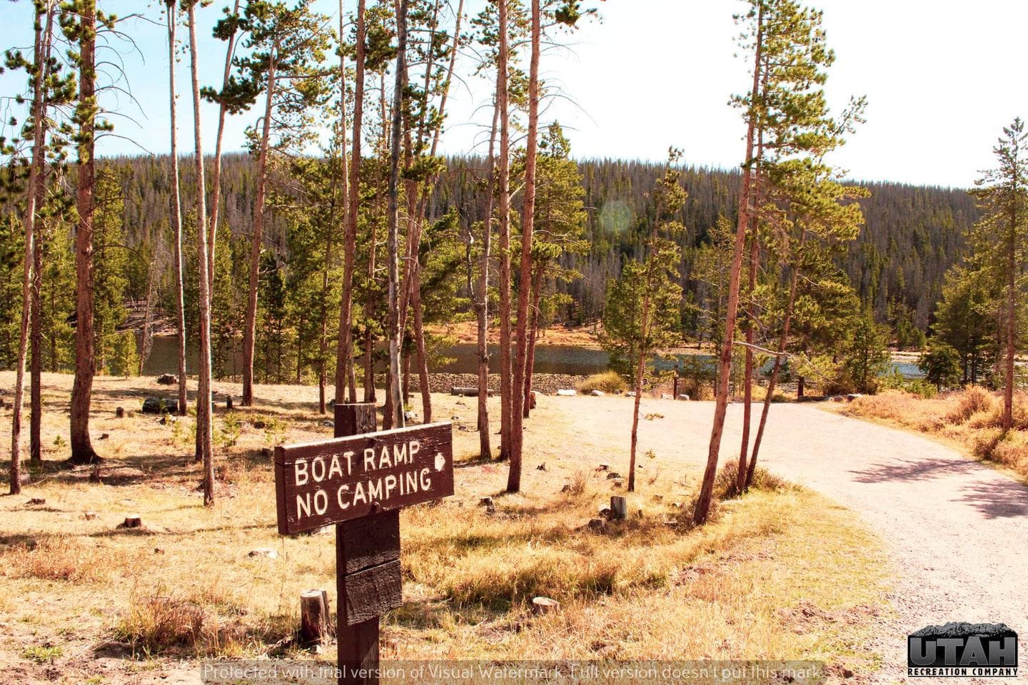 Bridger Lake Campground