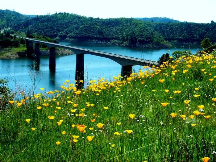 Tuttletown Recreation Area