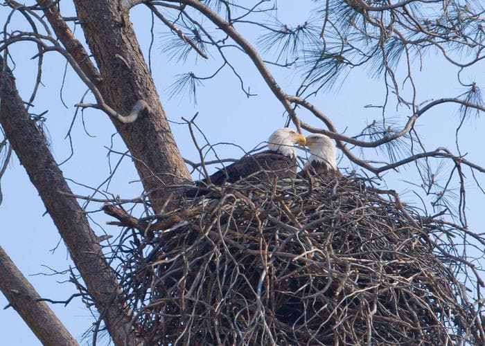 TUTTLETOWN RECREATION AREA 4