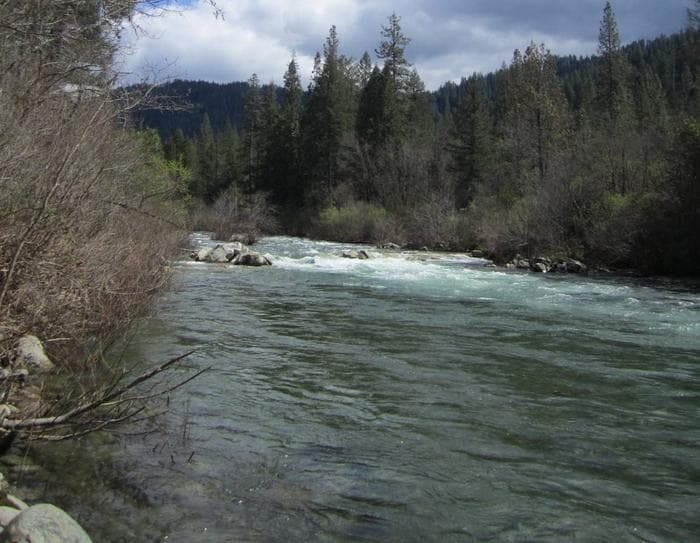 Fiddle Creek Campground View