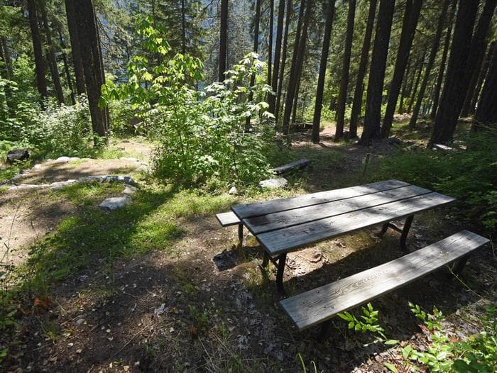 Picnic table at site with trees and lake in the background.