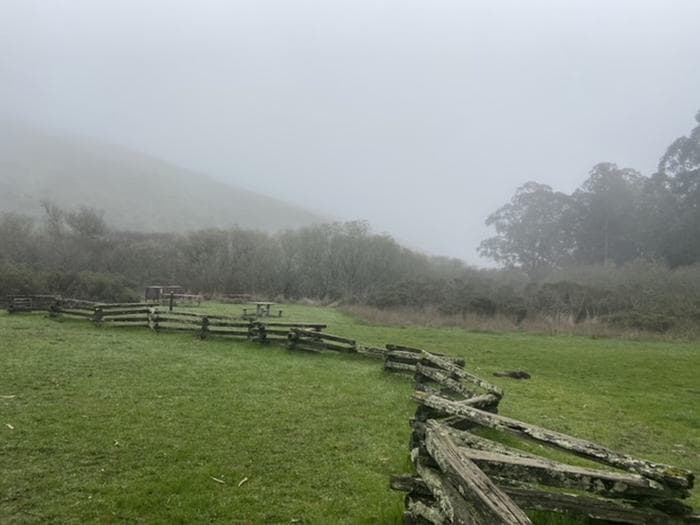 A green meadow with a fence running through it, food lockers and picnic table in distance.