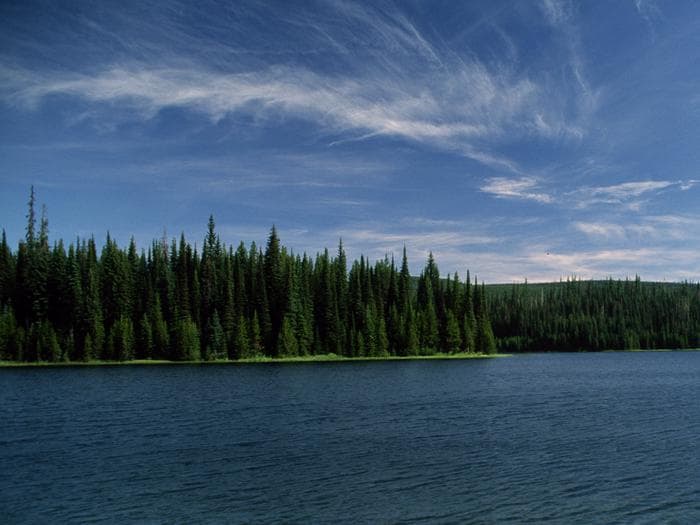 Jubilee Lake showing water, trees blue skies.