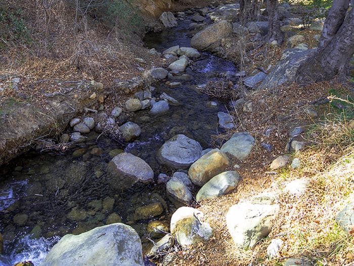 Reyes Creek Campground