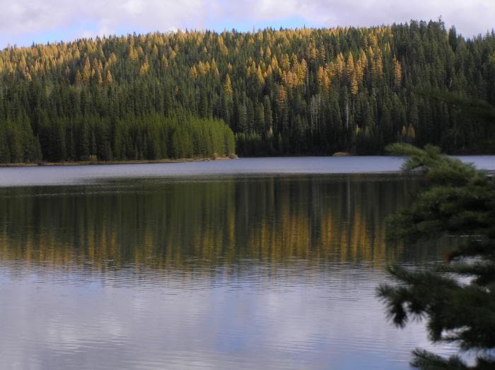 Jubilee Lake Campground (OR)