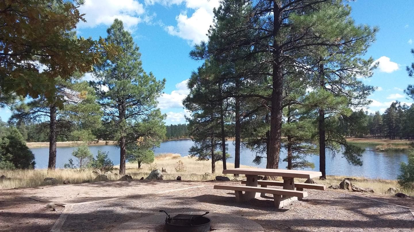 Beautiful view of the lake with a picnic table, fire ring and trees in the background