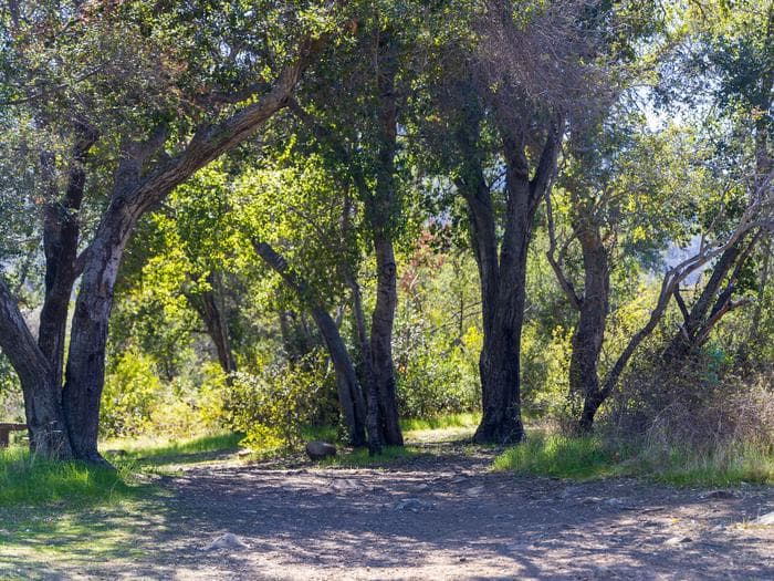 Holiday group Campground a