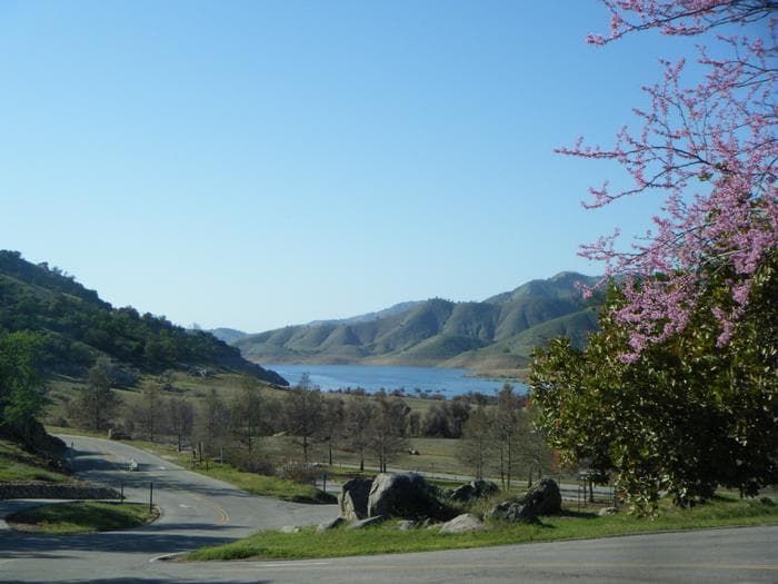 As lake levels rise, the spring time view of the lake increases at the campground