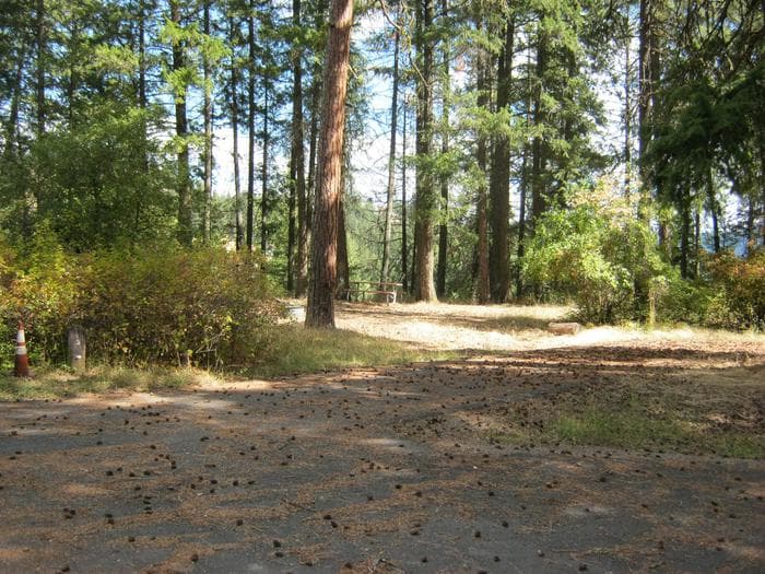 Kamloops Campground. Trees in the background.