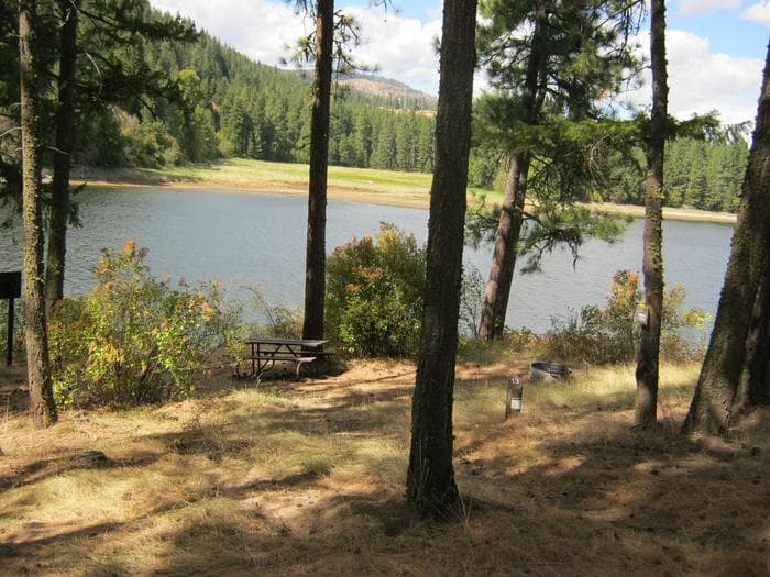Kamloops Campground. Trees and lake in the background.