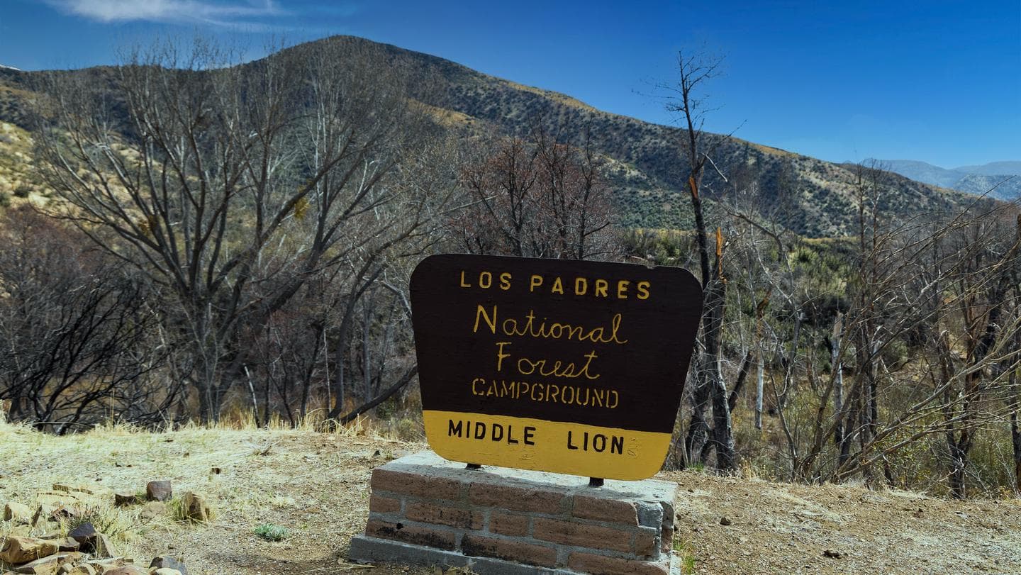 Middle Lion Campground
