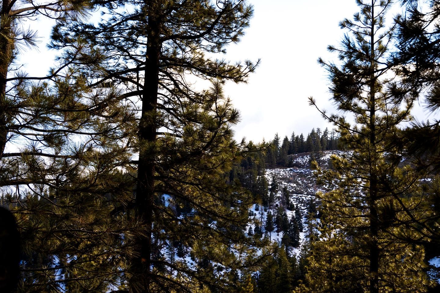 Mcgill Campground and Group Campground