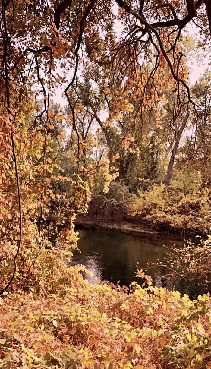 Fall Colors at Valley Oak Recreation Area