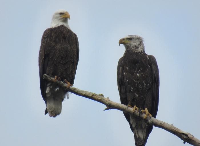 Horseshoe Road Recreation Area