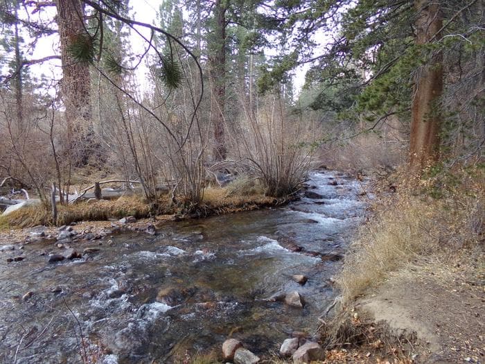 Fishing creek at Bishop Park