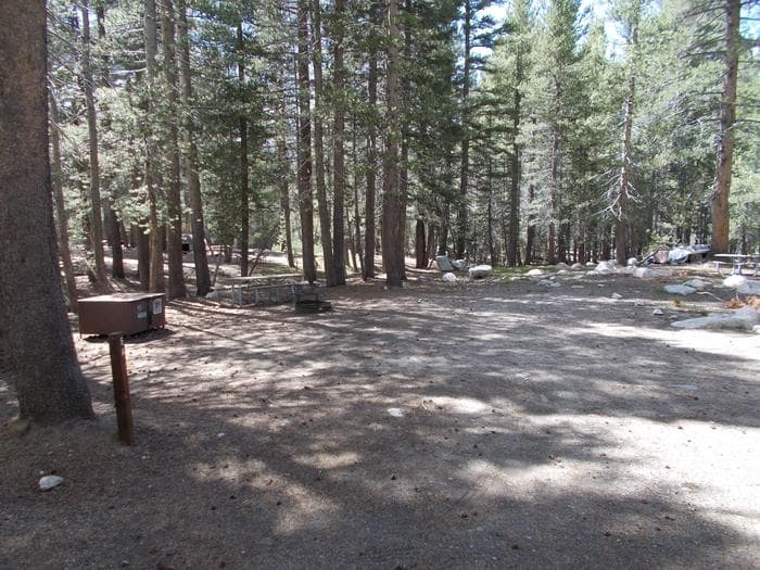 Tuolumne Meadows 35ft RV Site