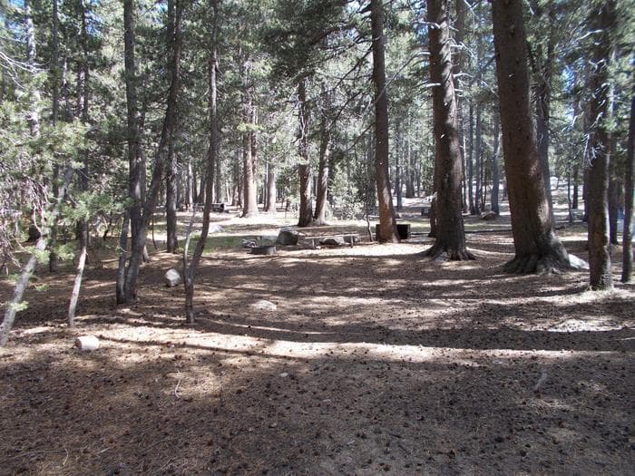 Tuolumne Meadows 27ft RV Site