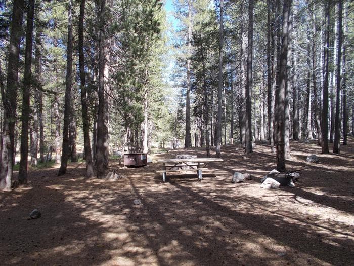 Tuolumne Meadows 18ft RV Site