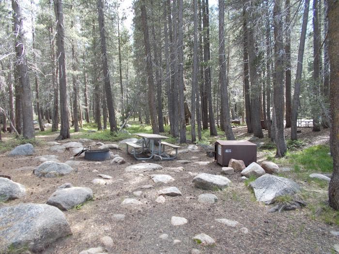 Tuolumne Meadows Tent Site