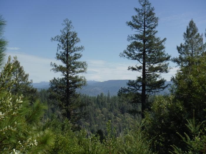 Cottage Creek Campground