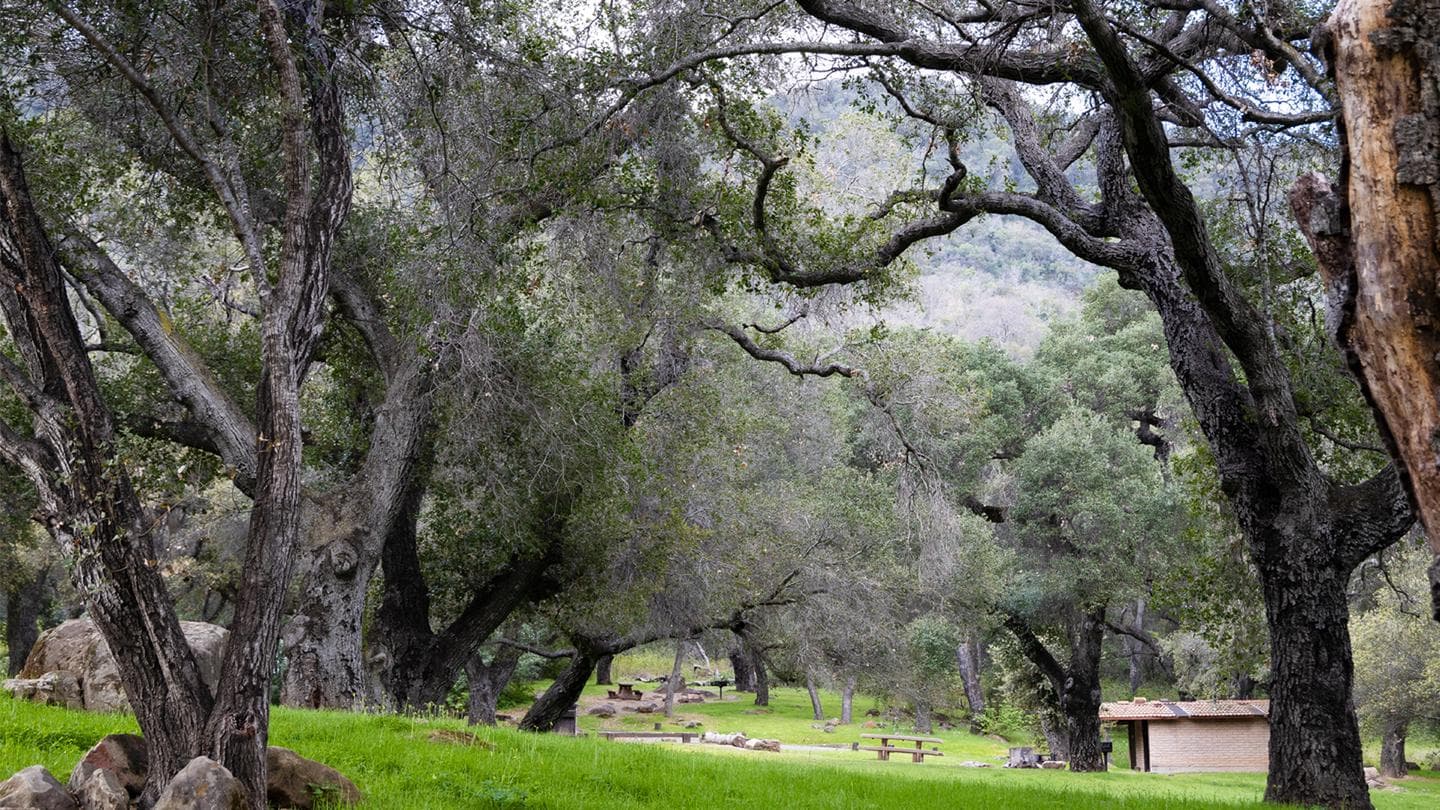 Fremont Campground 1