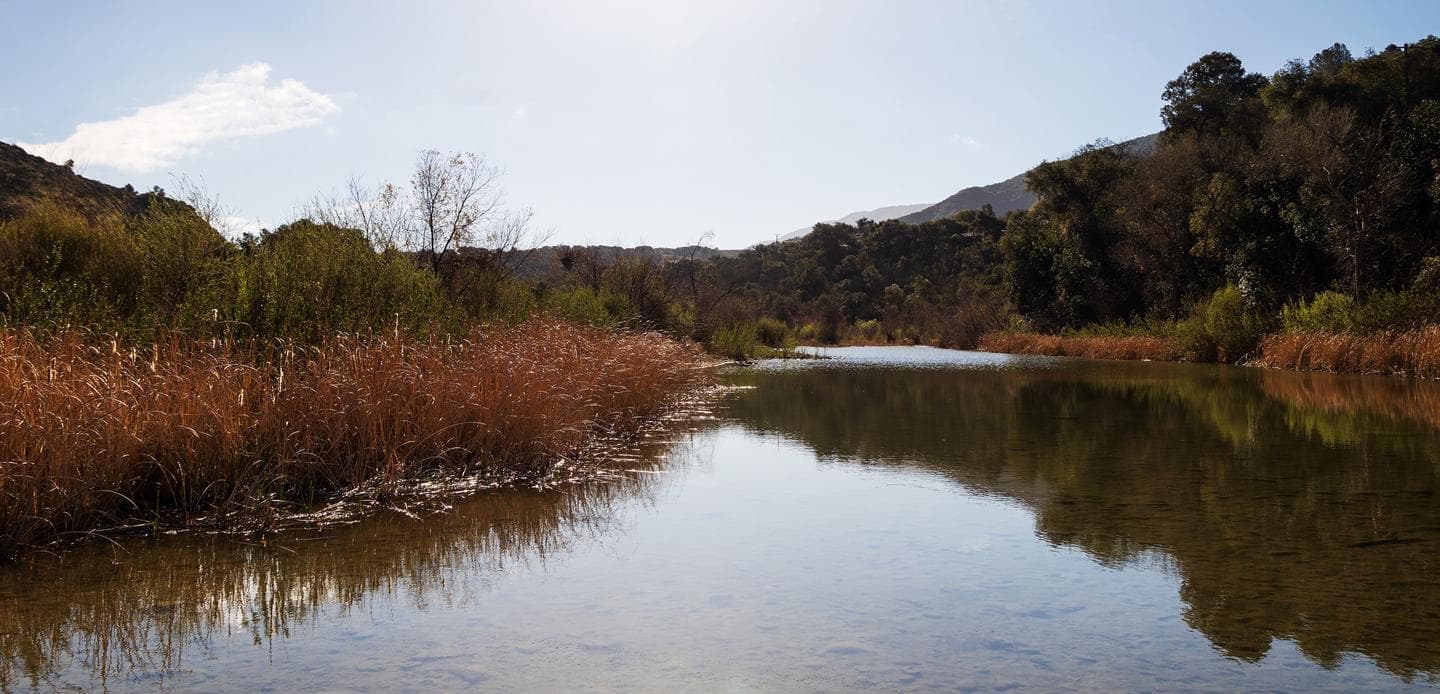 Los Padres National Forest