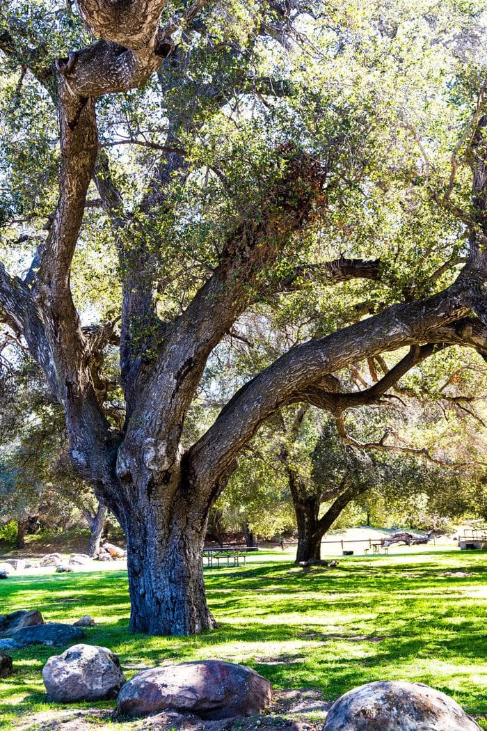 A photo of facility PARADISE CAMPGROUND