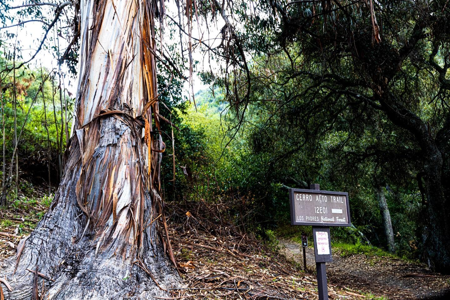 Cerro Alto Campground