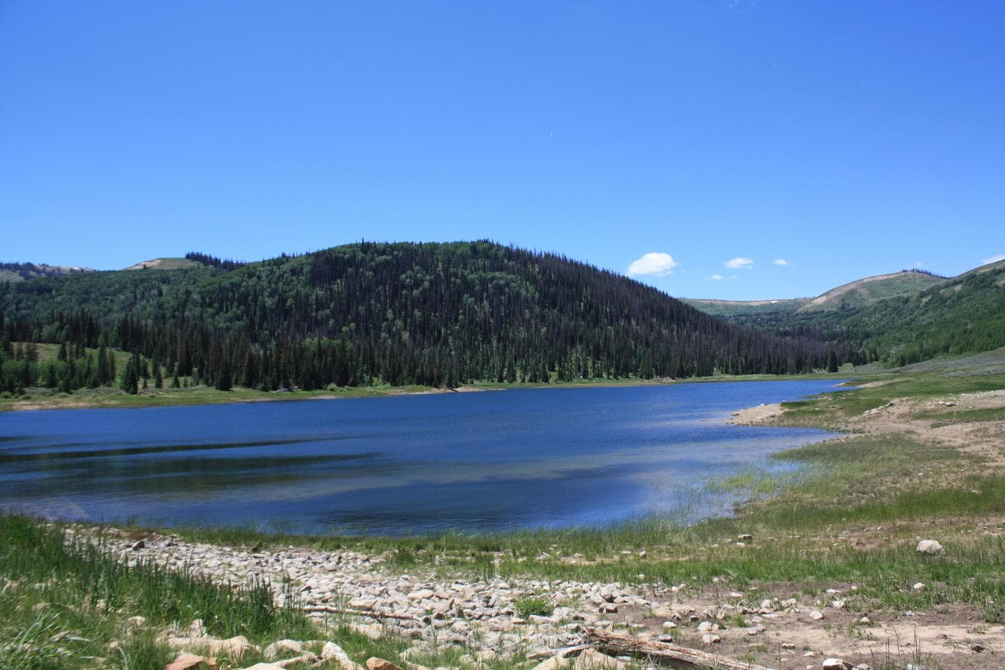 Lake Canyon Campground - Cleveland Reservoir