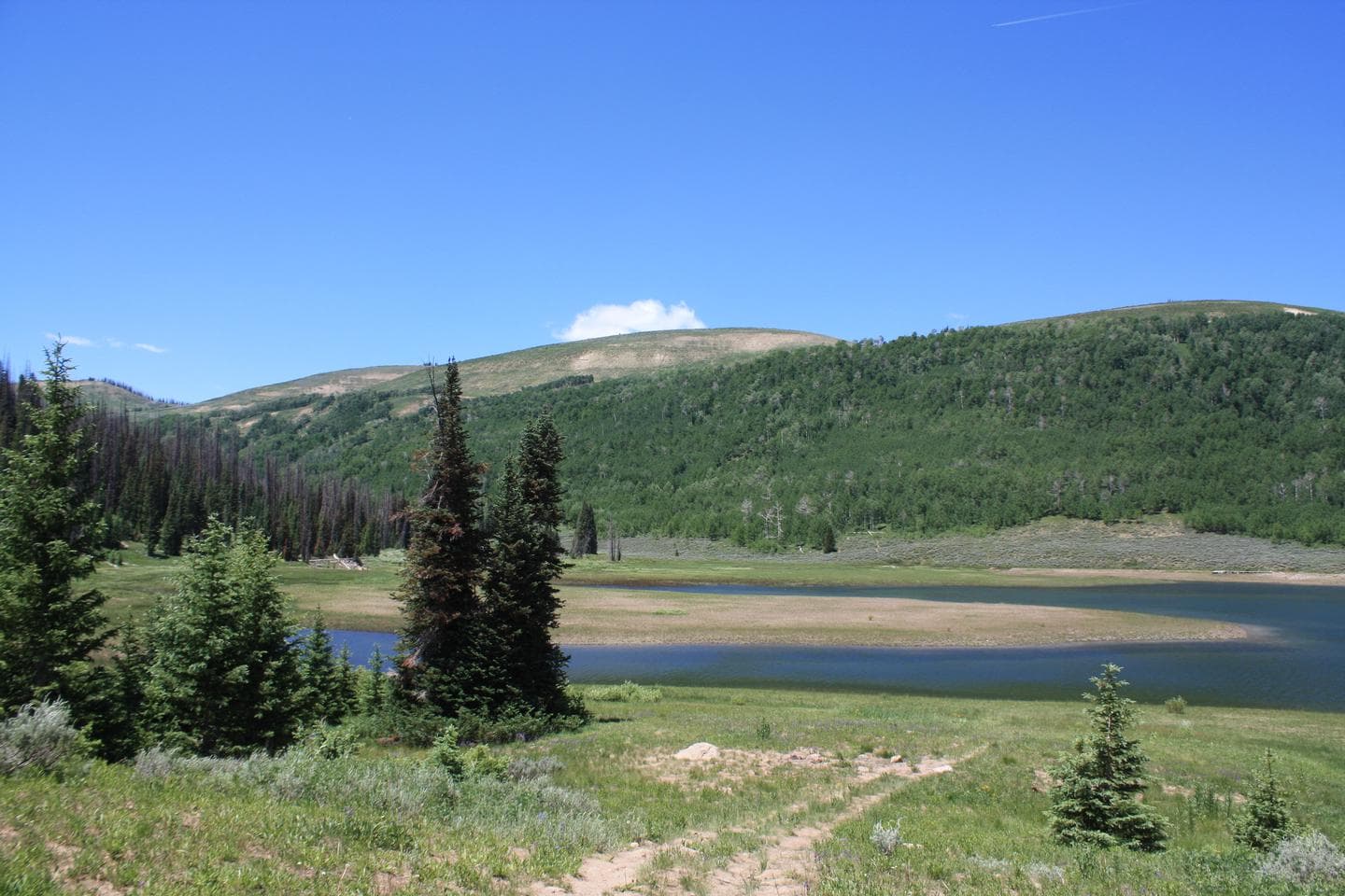 Lake Canyon Campground - Cleveland Reservoir