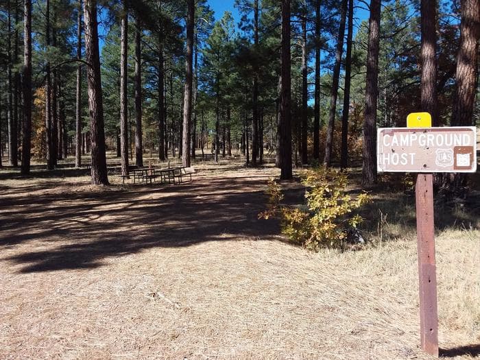 Site host Lewis Canyon